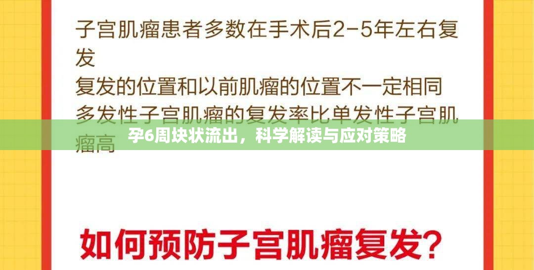 孕6周塊狀流出，科學(xué)解讀與應(yīng)對(duì)策略