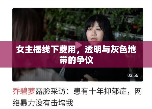 女主播線下費(fèi)用，透明與灰色地帶的爭議