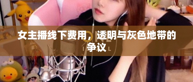 女主播線下費(fèi)用，透明與灰色地帶的爭議