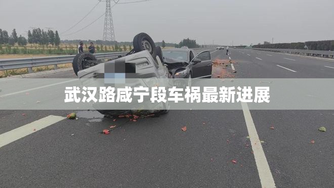 武漢路咸寧段車禍最新進(jìn)展