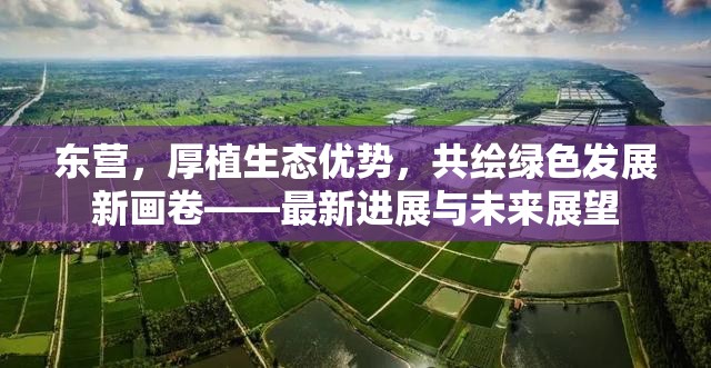 東營，厚植生態(tài)優(yōu)勢，共繪綠色發(fā)展新畫卷——最新進展與未來展望