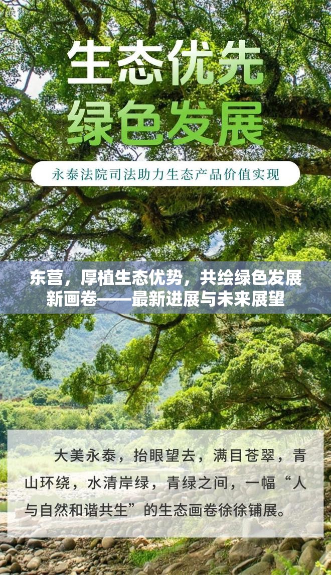 東營，厚植生態(tài)優(yōu)勢，共繪綠色發(fā)展新畫卷——最新進展與未來展望
