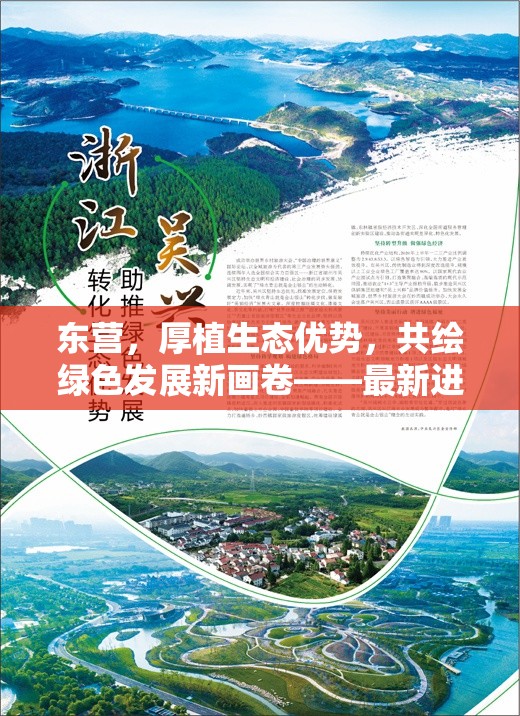 東營，厚植生態(tài)優(yōu)勢，共繪綠色發(fā)展新畫卷——最新進展與未來展望