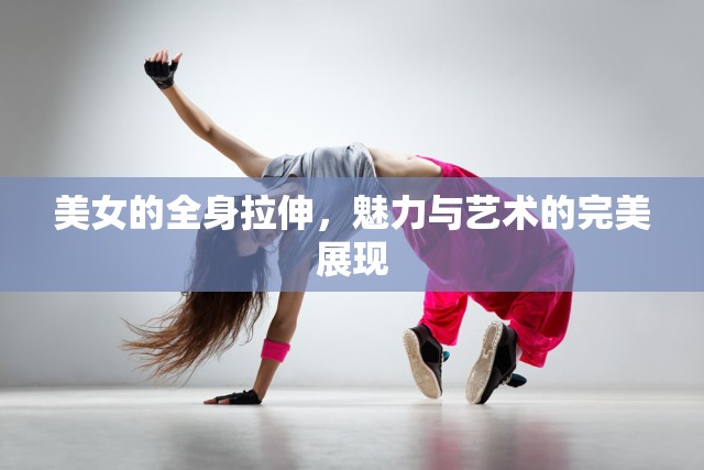 美女的全身拉伸，魅力與藝術(shù)的完美展現(xiàn)