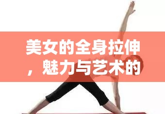 美女的全身拉伸，魅力與藝術(shù)的完美展現(xiàn)