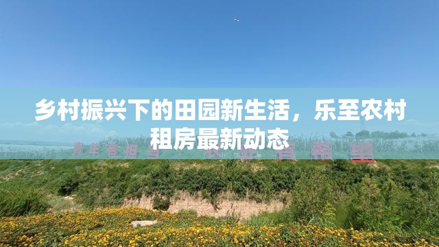 鄉(xiāng)村振興下的田園新生活，樂至農村租房最新動態(tài)