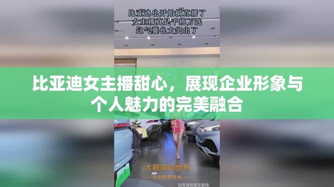 比亞迪女主播甜心，展現(xiàn)企業(yè)形象與個人魅力的完美融合