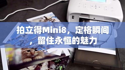 拍立得Mini8，定格瞬間，留住永恒的魅力