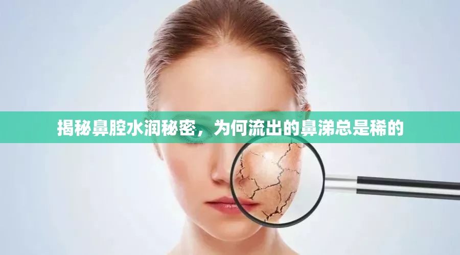 揭秘鼻腔水潤秘密，為何流出的鼻涕總是稀的