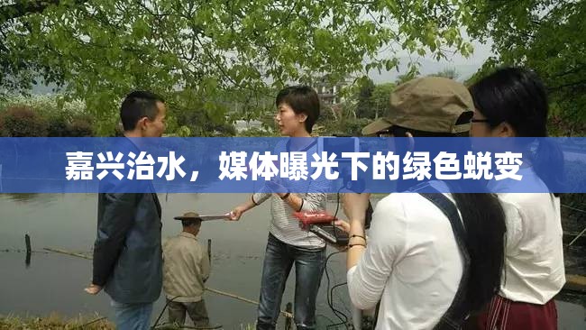 嘉興治水，媒體曝光下的綠色蛻變