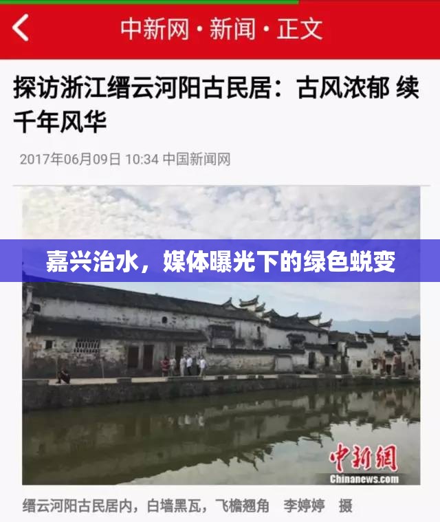 嘉興治水，媒體曝光下的綠色蛻變