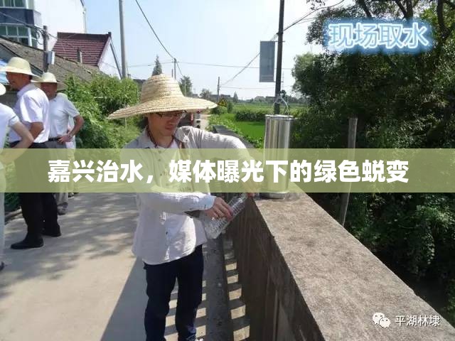 嘉興治水，媒體曝光下的綠色蛻變