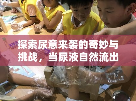 探索尿意來襲的奇妙與挑戰(zhàn)，當(dāng)尿液自然流出時的獨(dú)特體驗(yàn)