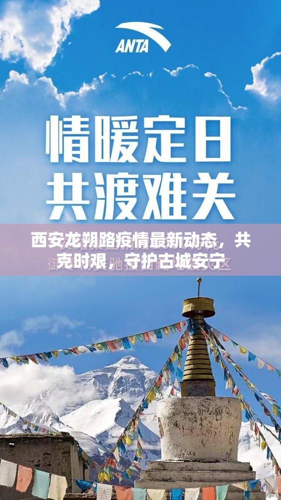 西安龍朔路疫情最新動態(tài)，共克時艱，守護古城安寧