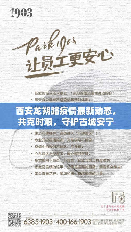 西安龍朔路疫情最新動態(tài)，共克時艱，守護古城安寧