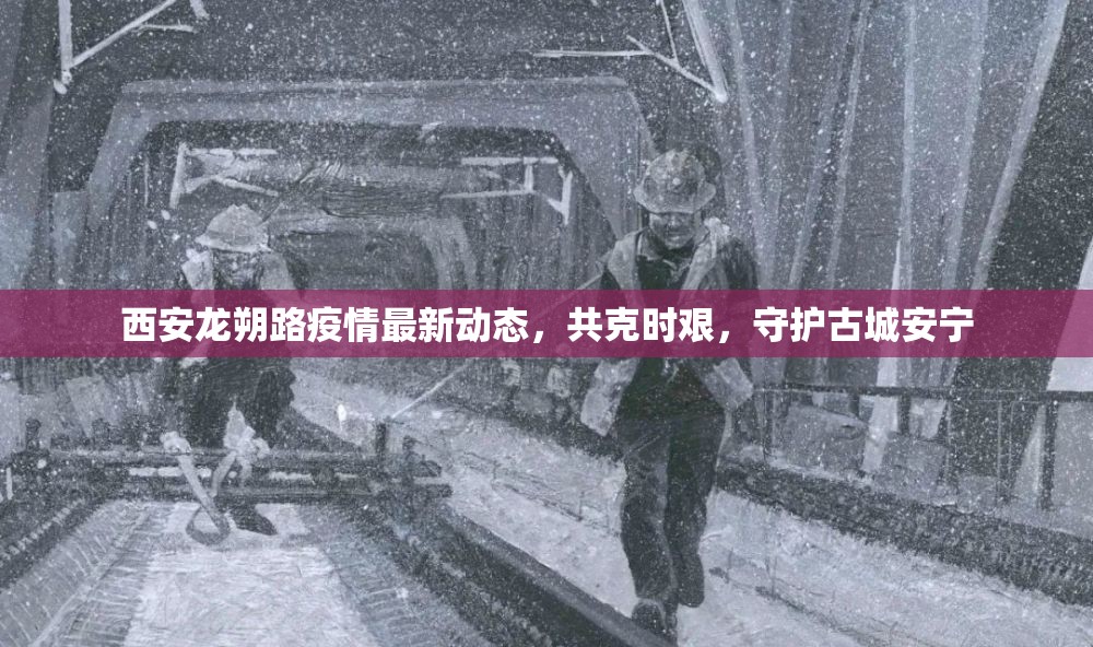 西安龍朔路疫情最新動態(tài)，共克時艱，守護古城安寧