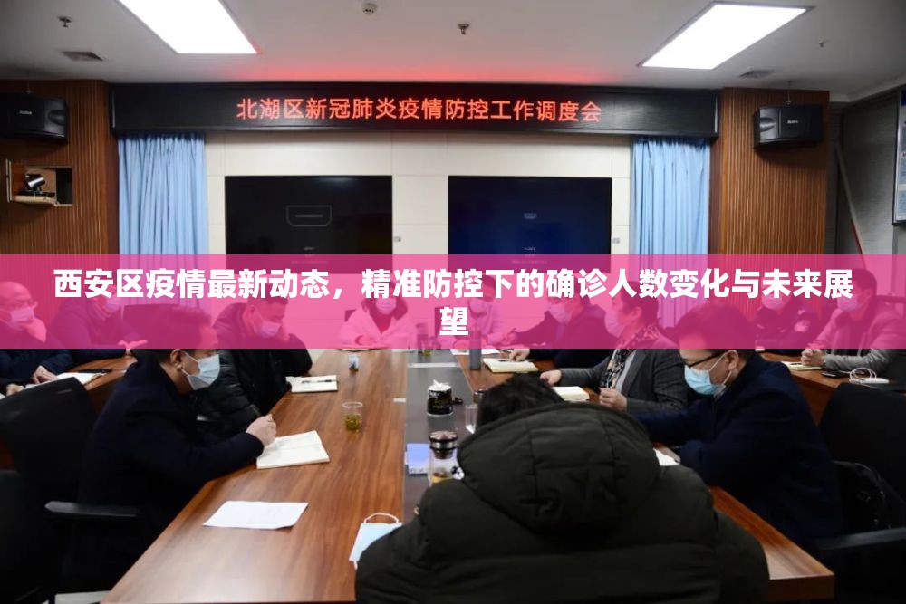 西安區(qū)疫情最新動(dòng)態(tài)，精準(zhǔn)防控下的確診人數(shù)變化與未來展望
