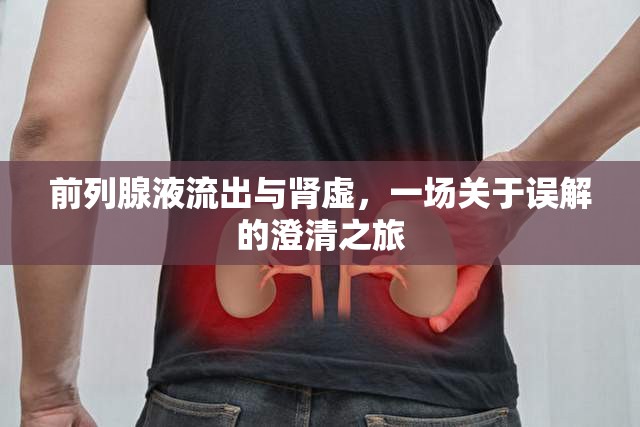 前列腺液流出與腎虛，一場(chǎng)關(guān)于誤解的澄清之旅