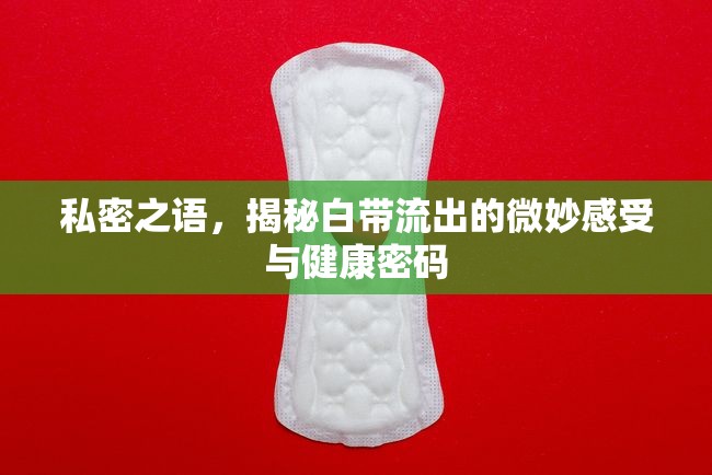 私密之語，揭秘白帶流出的微妙感受與健康密碼
