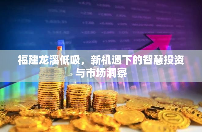 福建龍溪低吸，新機(jī)遇下的智慧投資與市場洞察