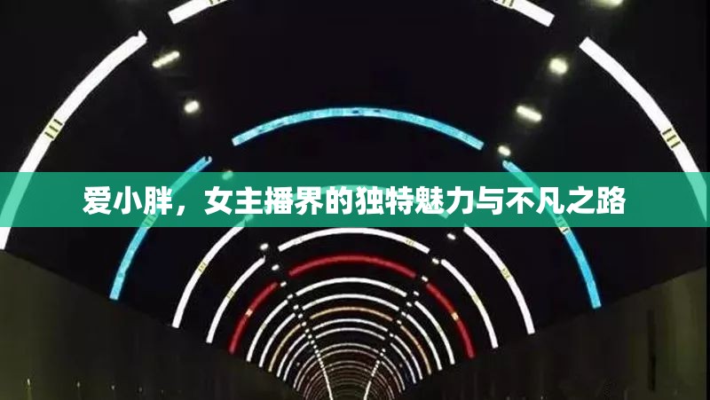 愛小胖，女主播界的獨(dú)特魅力與不凡之路