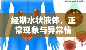 經(jīng)期水狀液體，正常現(xiàn)象與異常情況的解讀