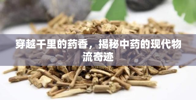 穿越千里的藥香，揭秘中藥的現(xiàn)代物流奇跡