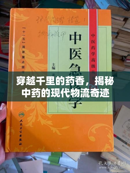 穿越千里的藥香，揭秘中藥的現(xiàn)代物流奇跡