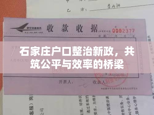 石家莊戶口整治新政，共筑公平與效率的橋梁