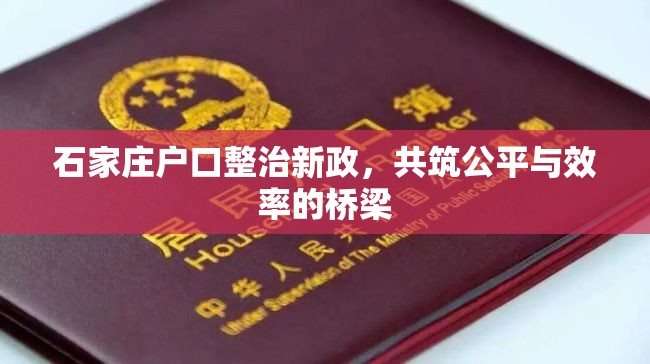 石家莊戶口整治新政，共筑公平與效率的橋梁