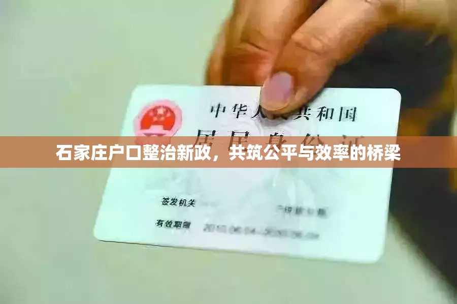 石家莊戶口整治新政，共筑公平與效率的橋梁