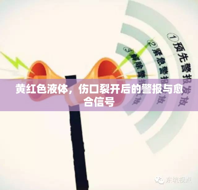黃紅色液體，傷口裂開(kāi)后的警報(bào)與愈合信號(hào)