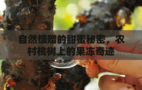 自然饋贈的甜蜜秘密，農(nóng)村桃樹上的果凍奇跡