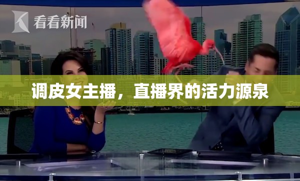 調(diào)皮女主播，直播界的活力源泉