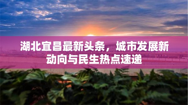 湖北宜昌最新頭條，城市發(fā)展新動向與民生熱點速遞