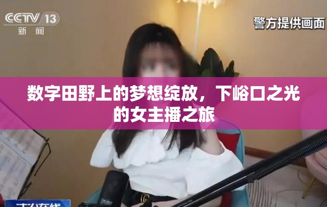數(shù)字田野上的夢想綻放，下峪口之光的女主播之旅