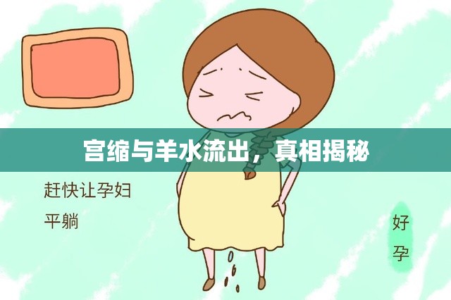 宮縮與羊水流出，真相揭秘
