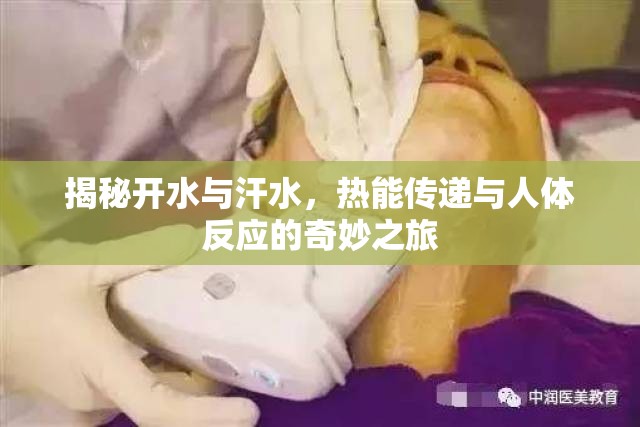 揭秘開水與汗水，熱能傳遞與人體反應的奇妙之旅
