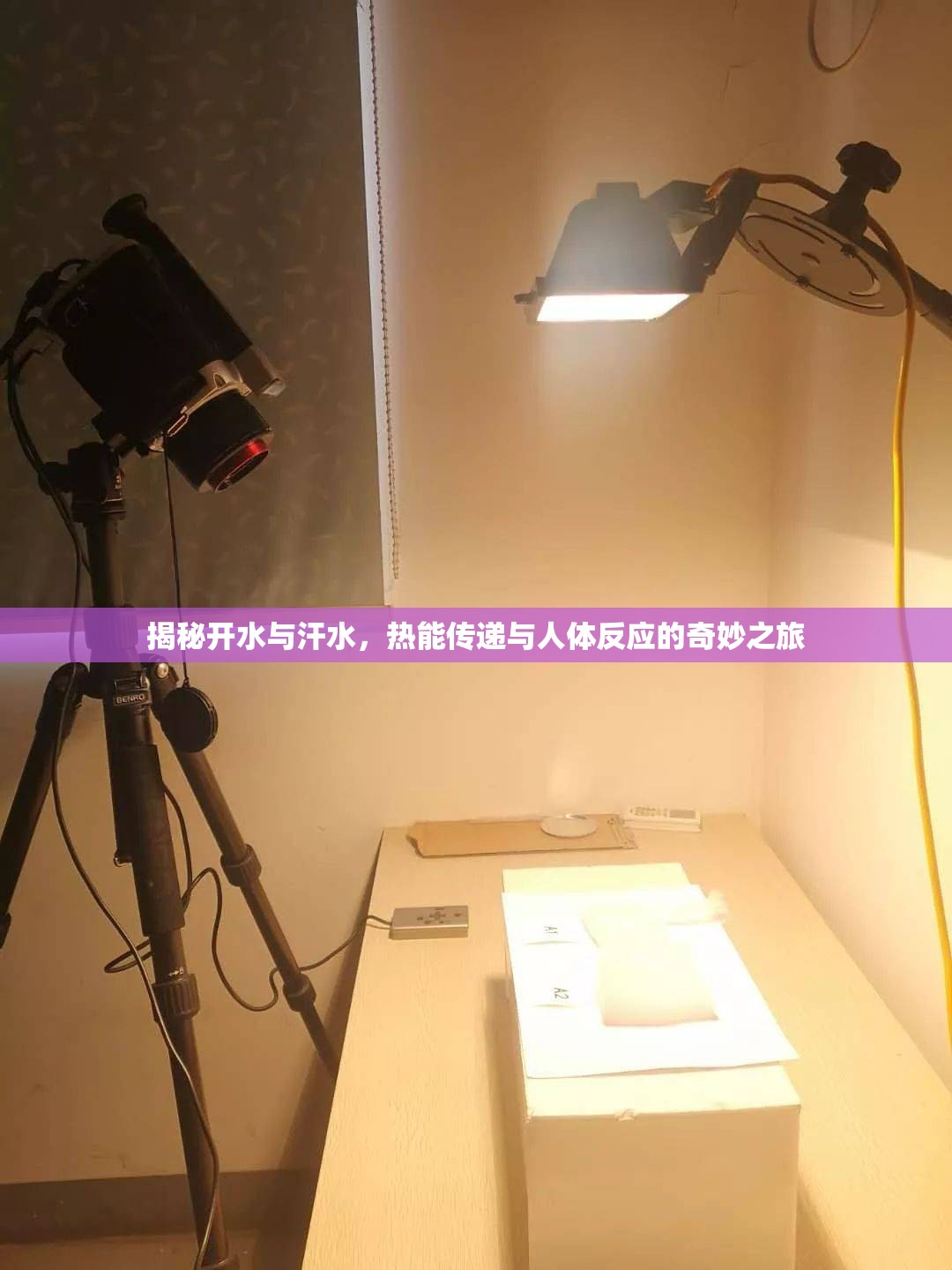 揭秘開水與汗水，熱能傳遞與人體反應的奇妙之旅