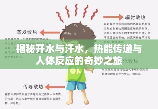 揭秘開水與汗水，熱能傳遞與人體反應的奇妙之旅