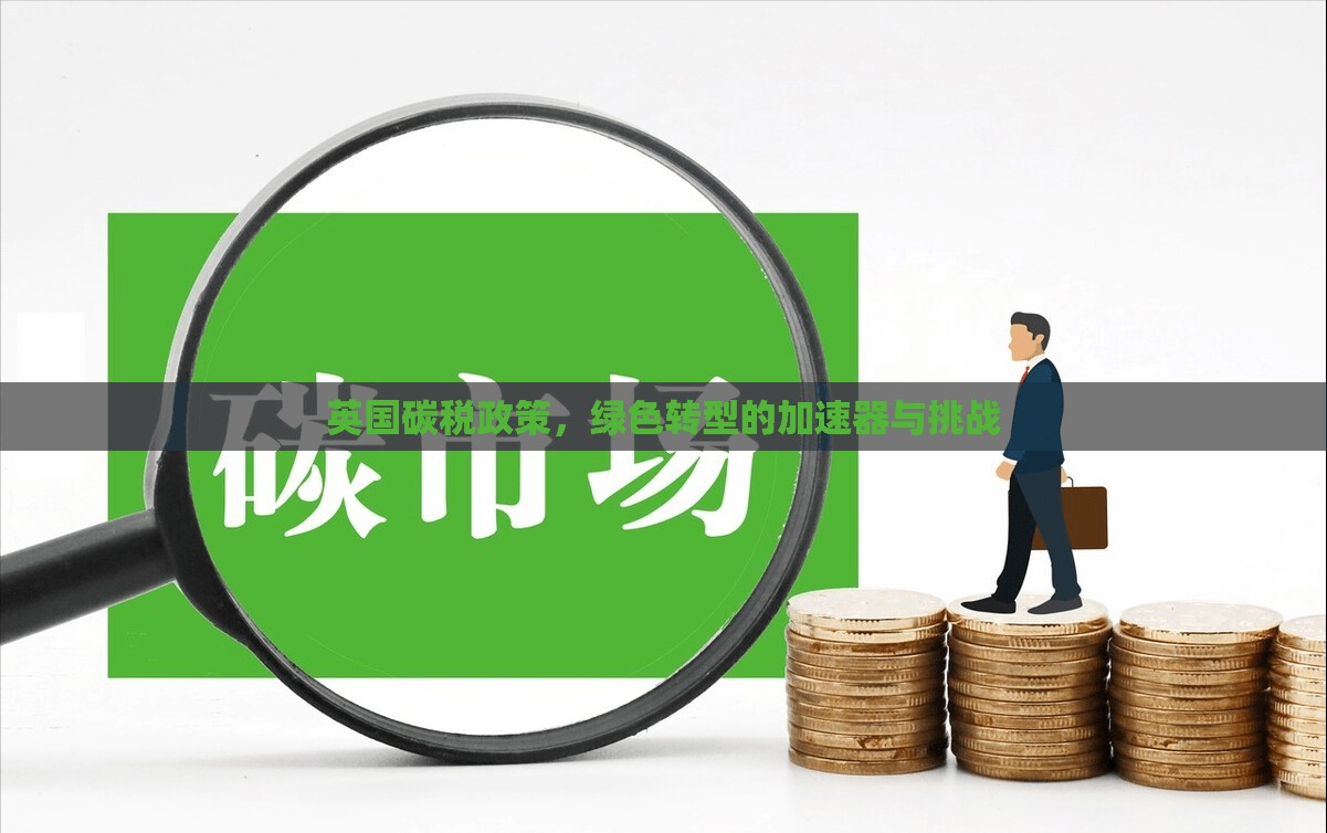 英國碳稅政策，綠色轉(zhuǎn)型的加速器與挑戰(zhàn)