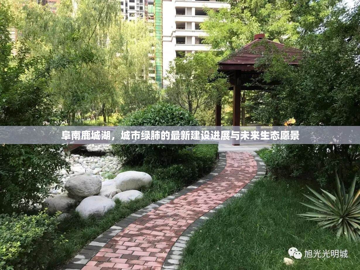 阜南鹿城湖，城市綠肺的最新建設(shè)進(jìn)展與未來生態(tài)愿景