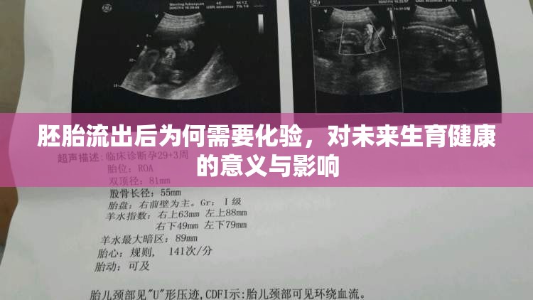 胚胎流出后為何需要化驗，對未來生育健康的意義與影響