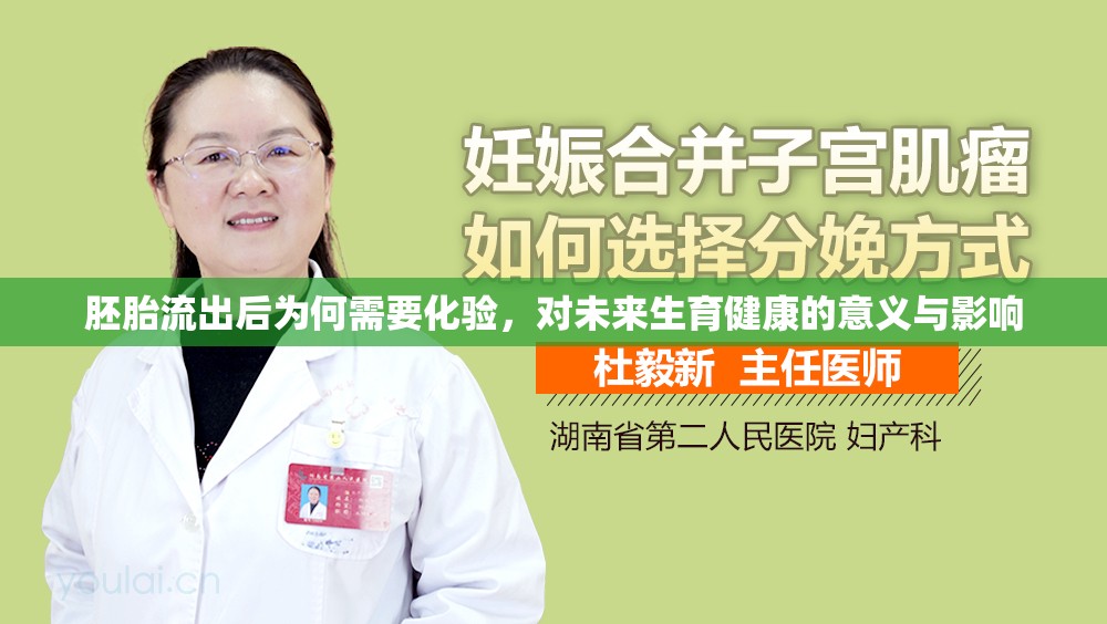 胚胎流出后為何需要化驗，對未來生育健康的意義與影響