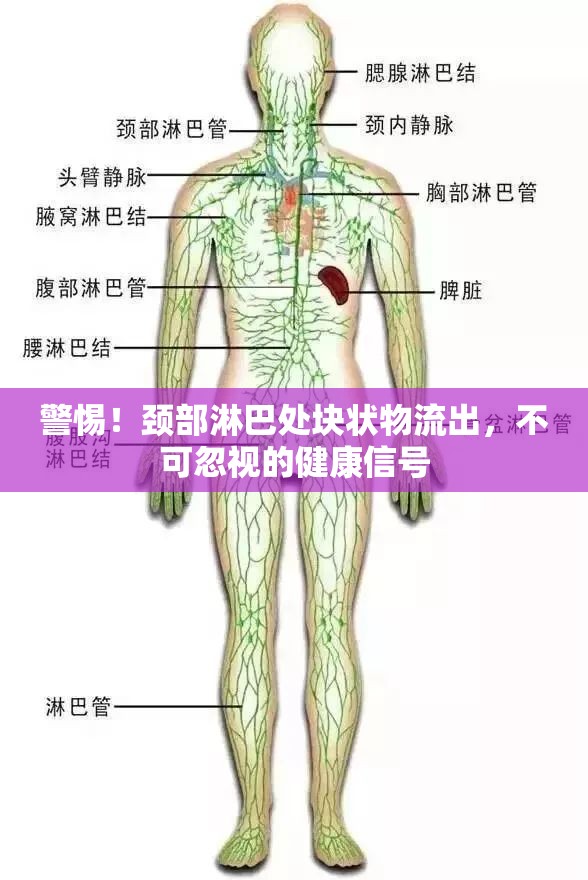 警惕！頸部淋巴處塊狀物流出，不可忽視的健康信號(hào)