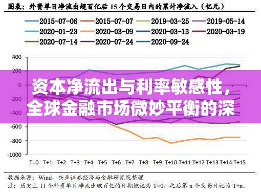 資本凈流出與利率敏感性，全球金融市場(chǎng)微妙平衡的深度剖析