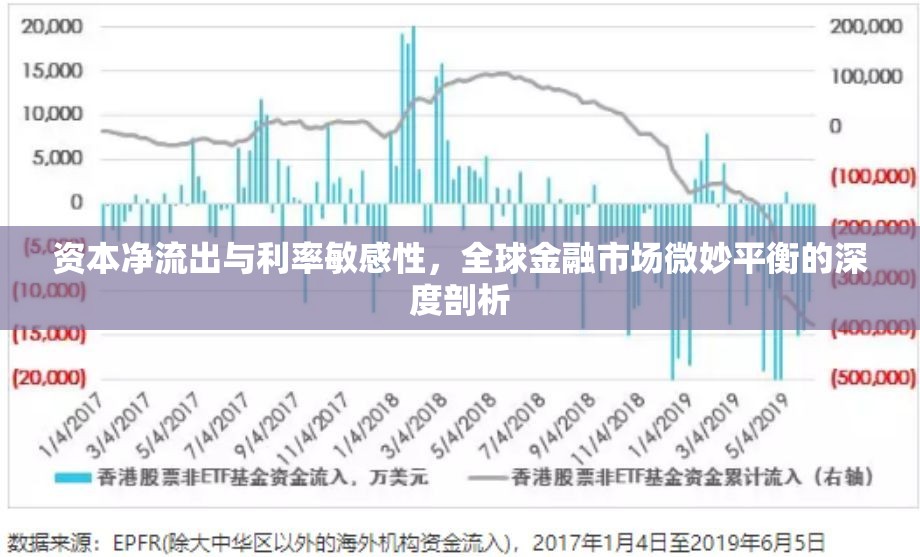 資本凈流出與利率敏感性，全球金融市場(chǎng)微妙平衡的深度剖析