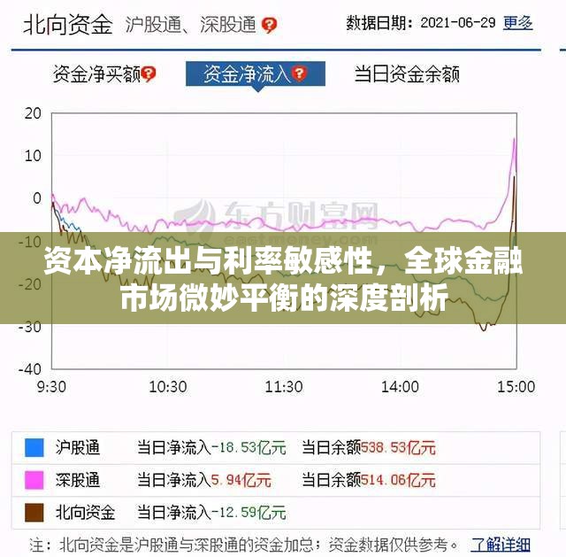 資本凈流出與利率敏感性，全球金融市場(chǎng)微妙平衡的深度剖析