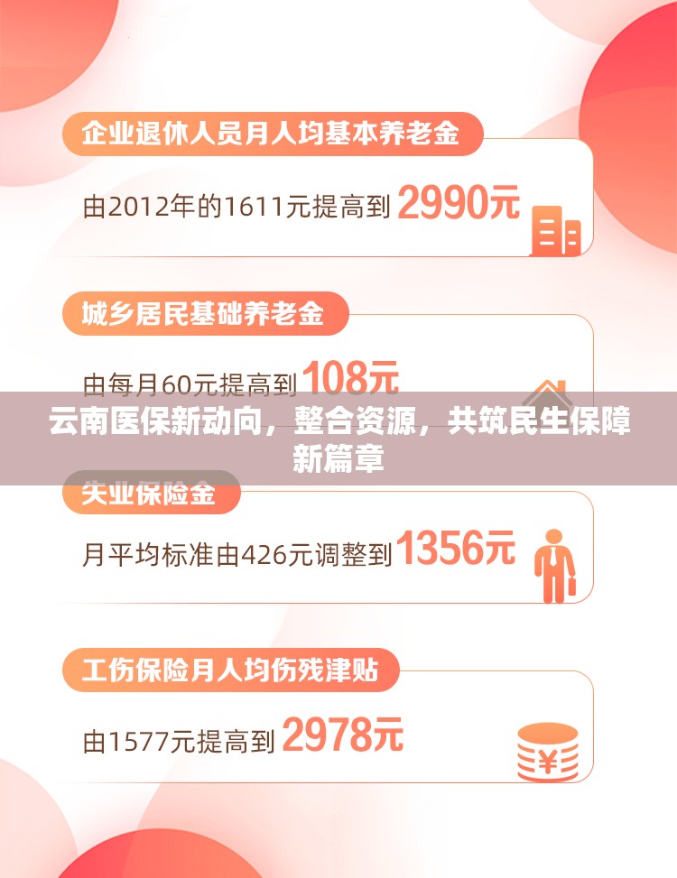 云南醫(yī)保新動向，整合資源，共筑民生保障新篇章