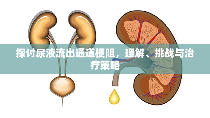 探討尿液流出通道梗阻，理解、挑戰(zhàn)與治療策略